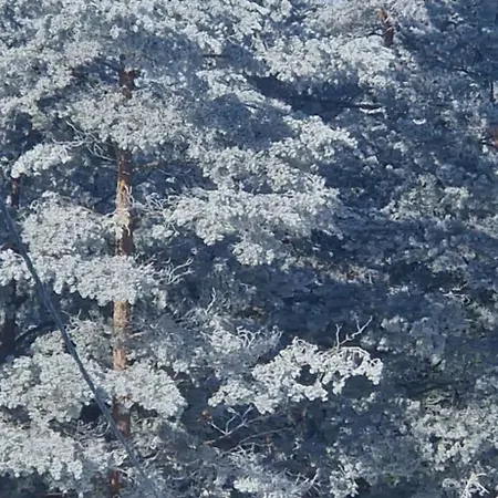 アパート Divcinova C19 Princess