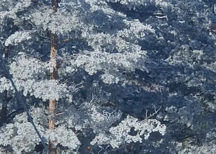 アパート Divcinova C19 Princess